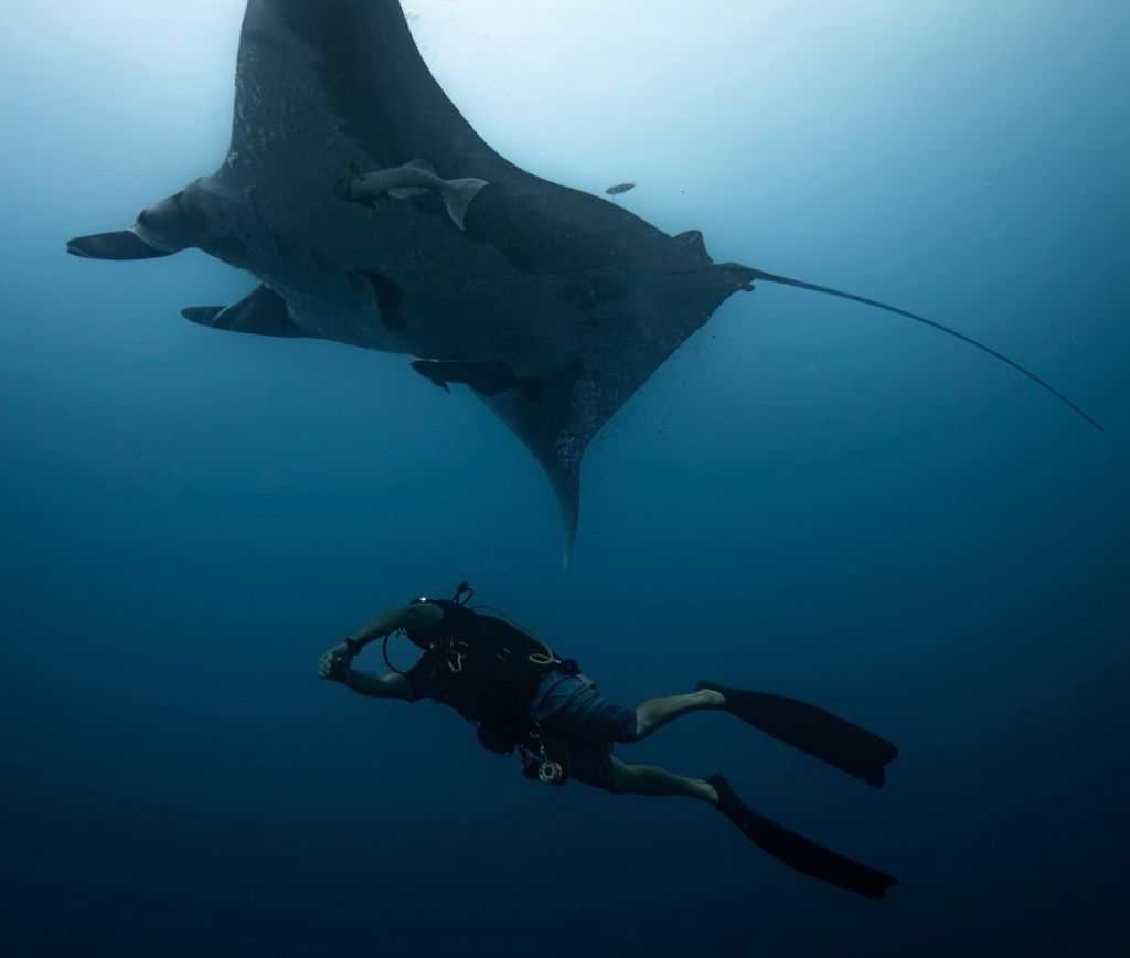Blue Realm Liveaboard diving